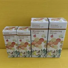 サンダースペリー 基本6セット 新品未使用 - メルカリ