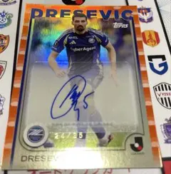 Item thumbnail for item 2ef5c773-03f2-40c7-ae8d-f79d86100753