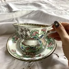 2025年最新】コールポート インディアンツリーの人気アイテム