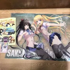 SAKAAGARI アクリルポスター、おまけ付