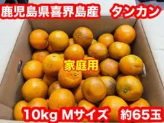 ①鹿児島県喜界島産 たんかん Mサイズ約10kg 家庭用