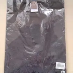 カネコアヤノLivehouse Tour 2024 Tシャツ (スミ)Lサイズ