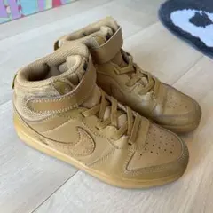 Item thumbnail for item 7540faed-c06e-4296-9ed8-8feba6379f82