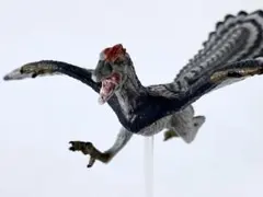 Item thumbnail for item 9f19dc93-5072-4ff1-911c-7c63bff4319c