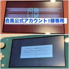 合馬公式アカウント1 様専用Nintendo Switch Lite ジャンク品
