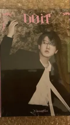 Straykids スキズ　DO IT アコーディオン　チャンビン