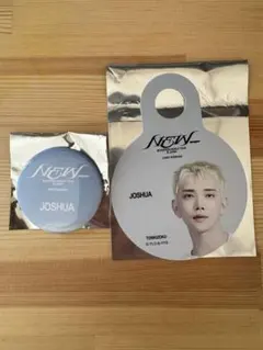 SEVENTEEN セブチ わなげ 缶バッジ 鳥貴族ストロータグ ジョシュア