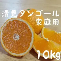 ４愛媛県産 清見タンゴール きよみ 家庭用 10㎏