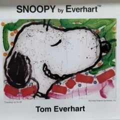2026年最新】スヌーピー トムエバハートの人気アイテム - メルカリ
