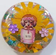 ダックスちゃん♥かわいいレジン　ダックスフンド　　ミニチュアダックスフンド