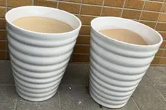 T 植木鉢 陶器 胡蝶蘭 二つ 大型 | Mercari
