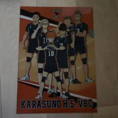 ハイキュー ファイル