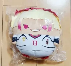 ブルーロック ふわコロりん Mサイズ 士道龍聖