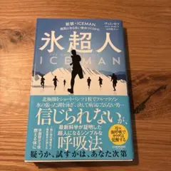 THE ICEMAN 氷の処刑人 Blu-ray - メルカリ