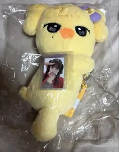 新品タグ付 IVE♡レイ minive キャラクターハグバッグ HUG BAG - メルカリ