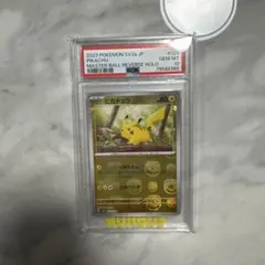 2026年最新】マスターボール ピカチュウ psa10の人気アイテム - メルカリ