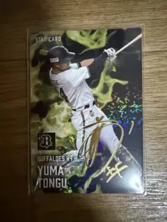 Item thumbnail for item 4ac82323-6fd8-4a79-a843-c191373201b5