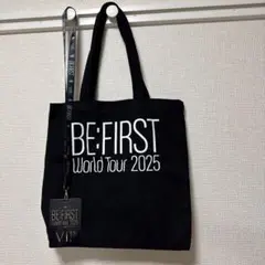 l*n様 be first world tour 2025 トート カード vi