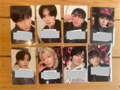 Stray Kids スキズ KMS HOP ヨントン 特典 トレカ コンプ