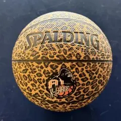 Item thumbnail for item 771a5948-8c62-449f-99f0-463ccd7e07f8