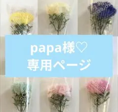 papa様専用
