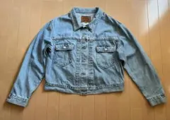 BIG E様専用◽️リーバイス levi's ジージャン 希少？