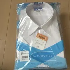 Item thumbnail for item 13d097d3-70a4-48d6-99db-65bd4a5e448e