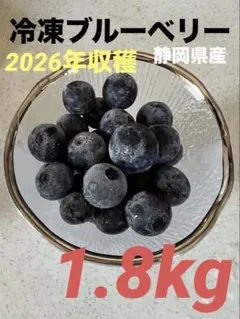冷凍ブルーベリー　1.8kg 今シーズン　無農薬のサムネイル