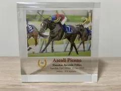 j*o様 競馬 オルフェーヴル トリプルクラウン 三冠 アクリルオブジェ 