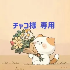 チャコ様　専用(10/11迄)