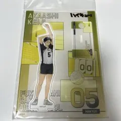 ハイキュー アクリルフィギュアコレクション 第8弾 大将 優 山架 美華