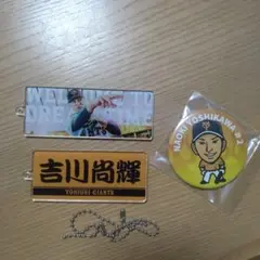 Item thumbnail for item b1818916-a234-4725-9d5b-ad7d052e9b64