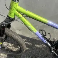 オールシティ All-city electric queen S allcityのサムネイル