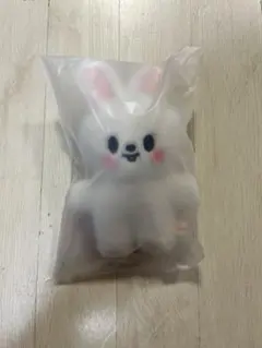 Stray Kids SKZOO リービット　スタンディングバージョン