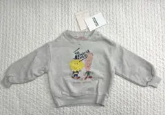 the animals observatory