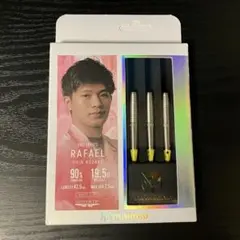 トリニダード ラファエル 小崎心モデル