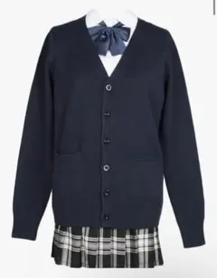 Item thumbnail for item 1c1b4d3a-5c5e-492c-863f-3b80b7c9b8ef