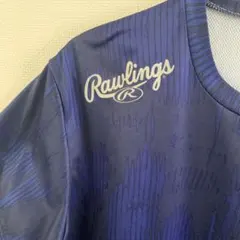 Item thumbnail for item 9e4d99f4-6f51-4fcc-b45b-0116e27f55a8