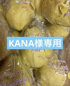 KANA様専用