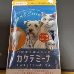 Item thumbnail for item 350b4825-2d7c-4862-912b-e74dacad50b7