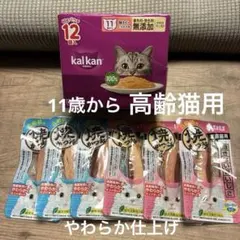 Item thumbnail for item 40ace436-93d7-483e-af15-1be4ef8bdd4f