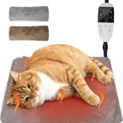 Item thumbnail for item e87b27b5-a73e-4b2a-b020-d9ddb5df1a3a