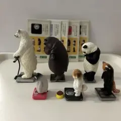 TANITA×パンダの穴　今日は何キロ？　セット