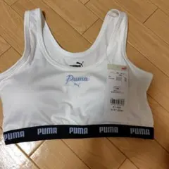 PUMA ジュニアブラ 160サイズ