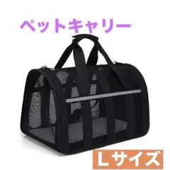 Item thumbnail for item 72c40f17-78f0-418f-951f-99a97168a0de