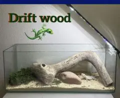 Item thumbnail for item 6382bc6a-0a97-46ec-a4c7-64c3a9030954