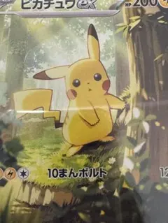 専用になります　購入不可