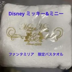 ディズニーバスタオルワイド