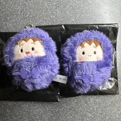 2026年最新】不破雷蔵 くるみたぴぬいの人気アイテム - メルカリ