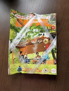 付録つきBE-PAL 2022年11月号 冬キャンプ飯